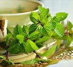 ハッカ油の蚊よけスプレー!効果を100%引き出す使い方は?