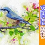 風水で玄関に絵を飾る!動物の選び方で天国と地獄を見る!?