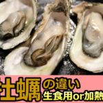 牡蠣の生食用と加熱用の違いは勘違いだらけ!真実はコレだ!