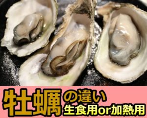 牡蠣の生食用と加熱用の違いは勘違いだらけ！真実はコレだ！