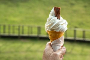ソフトクリーム&アイスクリーム&ジェラートの違いは？