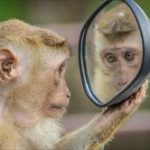 鏡掃除の仕方|簡単に汚れを落とすのなら重曹とクエン酸で