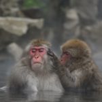 天然温泉とは何?定義がいまいち分からない贅沢の正体