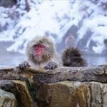 塩風呂と引き寄せの法則で理想の人生を実現!具体的方法公開