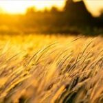風の時代を生きやすい人|最高の生き方ってどんな感じ?